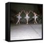 Ballet Dancers Performing a Scene from Swan Lake-null-Framed Stretched Canvas