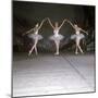 Ballet Dancers Performing a Scene from Swan Lake-null-Mounted Photographic Print