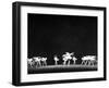 Ballet Dancers Performing "Giselle-null-Framed Photographic Print