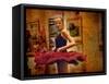 Ballet Guild-Craig Satterlee-Framed Stretched Canvas