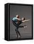 Ballet pas de deux-Erik Isakson-Framed Stretched Canvas