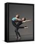 Ballet pas de deux-Erik Isakson-Framed Stretched Canvas