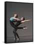 Ballet pas de deux-Erik Isakson-Framed Stretched Canvas