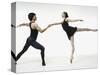 Ballet pas de deux-Erik Isakson-Stretched Canvas