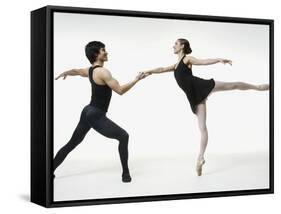 Ballet pas de deux-Erik Isakson-Framed Stretched Canvas