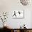 Ballet pas de deux-Erik Isakson-Stretched Canvas displayed on a wall