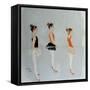 Ballet Practice 2015-Susan Adams-Framed Stretched Canvas