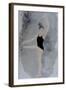 Ballet Practice at the Bar 2015-Susan Adams-Framed Giclee Print