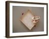 Ballet shoes waiting for the show-Floris Leeuwenberg-Framed Premium Photographic Print
