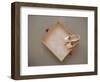 Ballet shoes waiting for the show-Floris Leeuwenberg-Framed Photographic Print