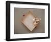 Ballet shoes waiting for the show-Floris Leeuwenberg-Framed Photographic Print