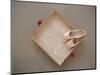 Ballet shoes waiting for the show-Floris Leeuwenberg-Mounted Photographic Print