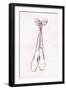 Ballet Shoes-Martina Pavlova-Framed Art Print