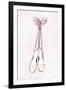 Ballet Shoes-Martina Pavlova-Framed Art Print