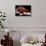 Ballet Slippers (On Piano)-null-Mounted Photo displayed on a wall
