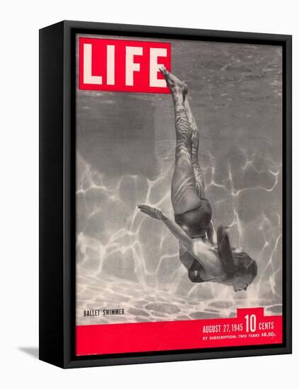 Ballet Swimmer Belita, August 27, 1945-Walter Sanders-Framed Stretched Canvas