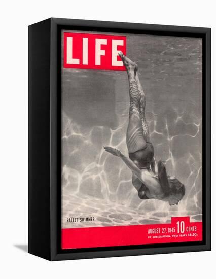 Ballet Swimmer Belita, August 27, 1945-Walter Sanders-Framed Stretched Canvas