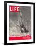 Ballet Swimmer Belita, August 27, 1945-Walter Sanders-Framed Premium Photographic Print