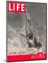 Ballet Swimmer Belita, August 27, 1945-Walter Sanders-Mounted Photographic Print