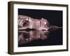 Ballet Toe Shoes-Monika Burkhart-Framed Photographic Print