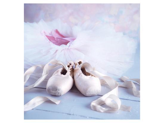 'Ballet Tutu Dress & Shoes' Premium Giclee Print | AllPosters.com