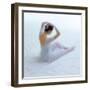 Ballet V-Fred Van De Heetkamp-Framed Giclee Print