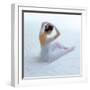 Ballet V-Fred Van De Heetkamp-Framed Giclee Print