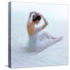 Ballet V-Fred Van De Heetkamp-Stretched Canvas