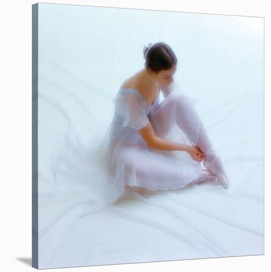 Ballet VI-Fred Van De Heetkamp-Stretched Canvas