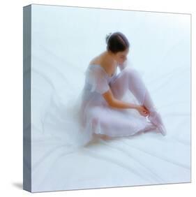 Ballet VI-Fred Van De Heetkamp-Stretched Canvas