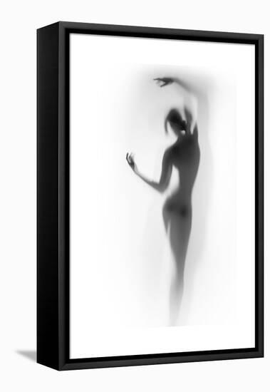 Ballet-Shadow-Framed Stretched Canvas