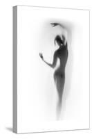 Ballet-Shadow-Stretched Canvas