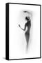 Ballet-Shadow-Framed Stretched Canvas