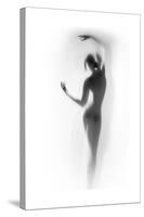 Ballet-Shadow-Stretched Canvas