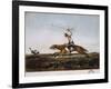 Balling Ostriches-Emeric Essex Vidal-Framed Giclee Print