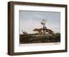 Balling Ostriches-Emeric Essex Vidal-Framed Giclee Print