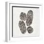 Ballinglen Warm II-Piper Rhue-Framed Art Print