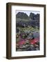 Ballintoy, County Antrim, Ulster, Northern Ireland, United Kingdom, Europe-Carsten Krieger-Framed Photographic Print