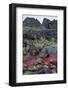 Ballintoy, County Antrim, Ulster, Northern Ireland, United Kingdom, Europe-Carsten Krieger-Framed Photographic Print