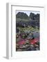 Ballintoy, County Antrim, Ulster, Northern Ireland, United Kingdom, Europe-Carsten Krieger-Framed Photographic Print