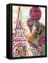 Ballons Sur Paris-Natasha Wescoat-Framed Stretched Canvas