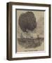 Balloon Accident, at Bombay-null-Framed Giclee Print