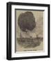 Balloon Accident, at Bombay-null-Framed Giclee Print