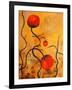 Balloon Blooms II-Ruth Palmer-Framed Art Print