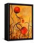 Balloon Blooms II-Ruth Palmer-Framed Stretched Canvas