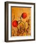 Balloon Blooms-Ruth Palmer-Framed Art Print