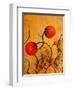 Balloon Blooms-Ruth Palmer-Framed Art Print