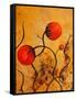 Balloon Blooms-Ruth Palmer-Framed Stretched Canvas