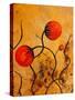 Balloon Blooms-Ruth Palmer-Stretched Canvas