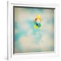 Balloon Dream-Amy Melious-Framed Art Print